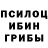 Галлюциногенные грибы Psilocybine cubensis Kostia Matsak
