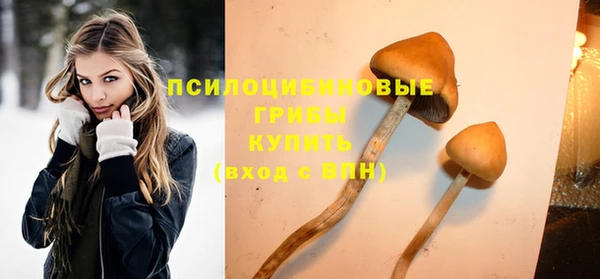 дживик Аркадак