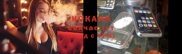 apvp Чегем