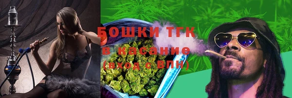 дживик Баксан