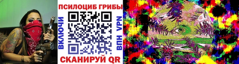 Псилоцибиновые грибы Psilocybe  Дно 